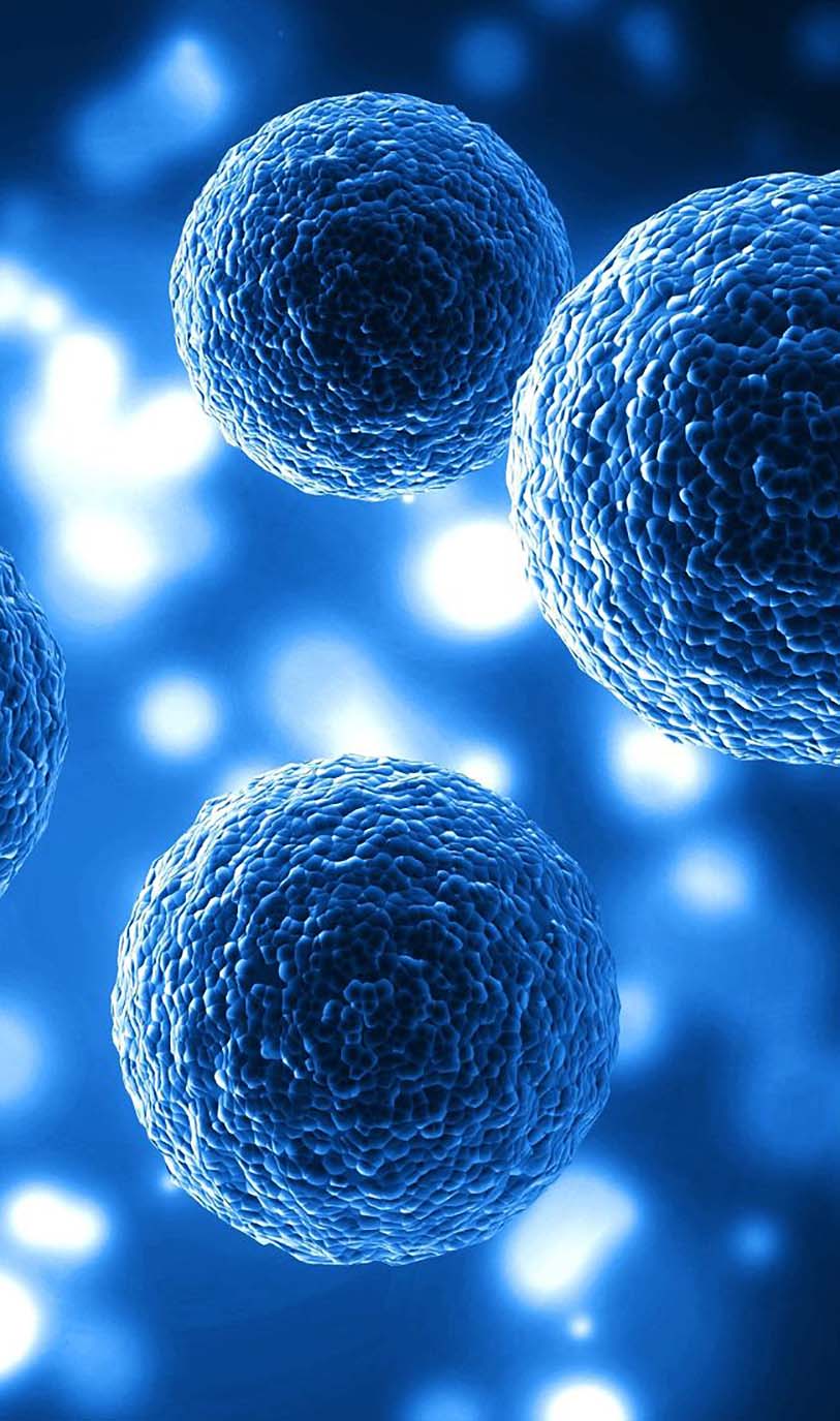 Take the video tour on the ZOO!