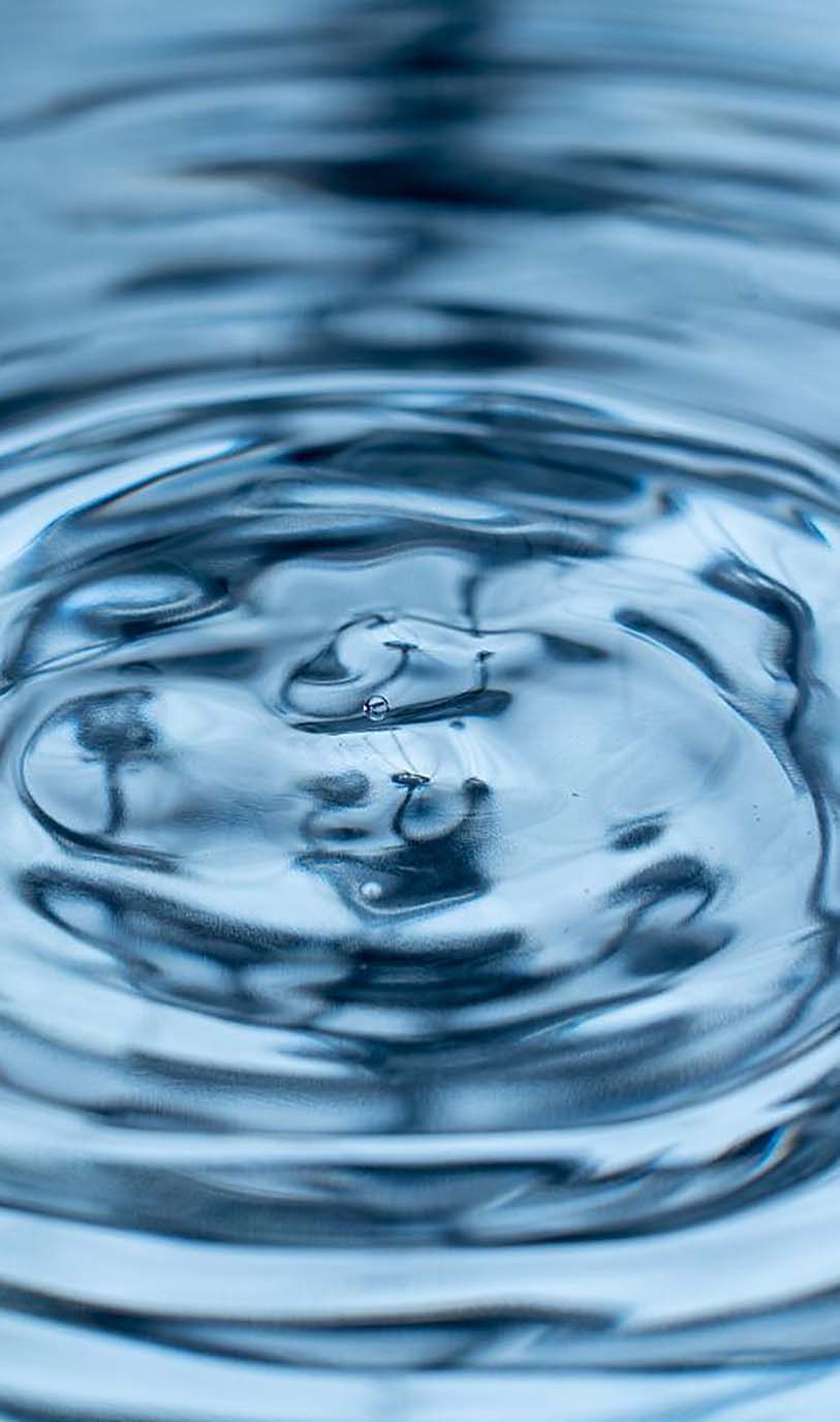 Take the video tour on the ZOO!