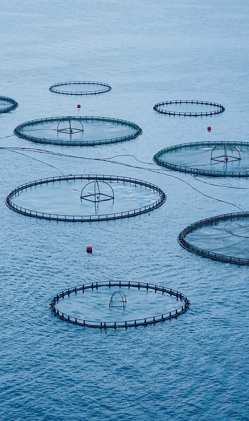 Take the video tour on the ZOO!