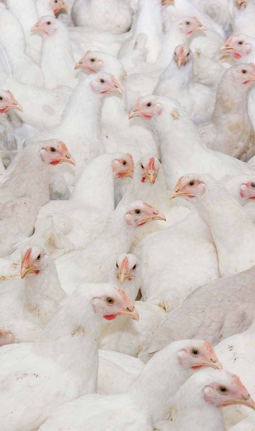 Take the video tour on the ZOO!