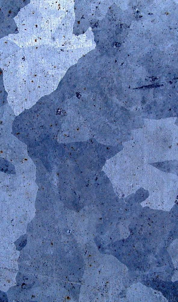 Take the video tour on the ZOO!