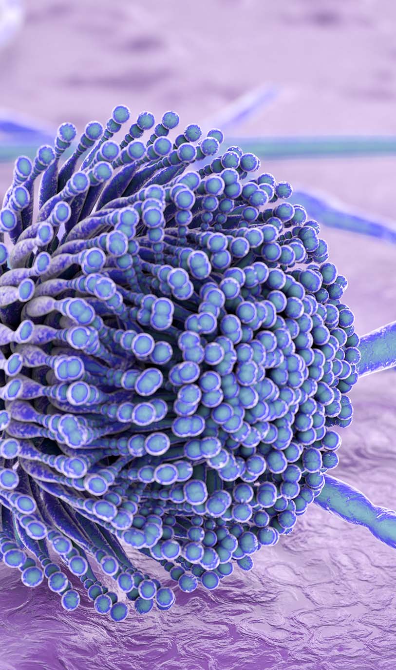 Take the video tour on the ZOO!