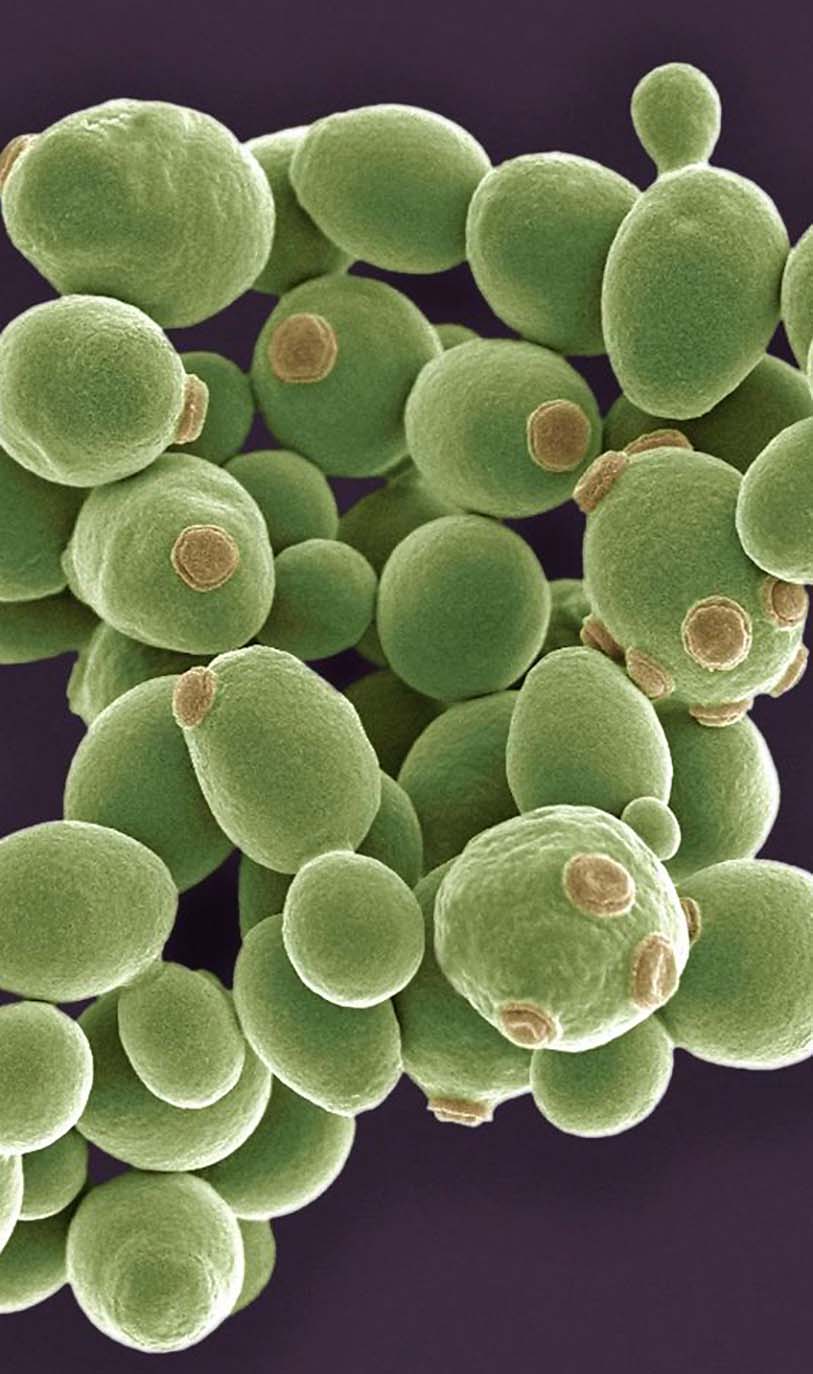 Take the video tour on the ZOO!