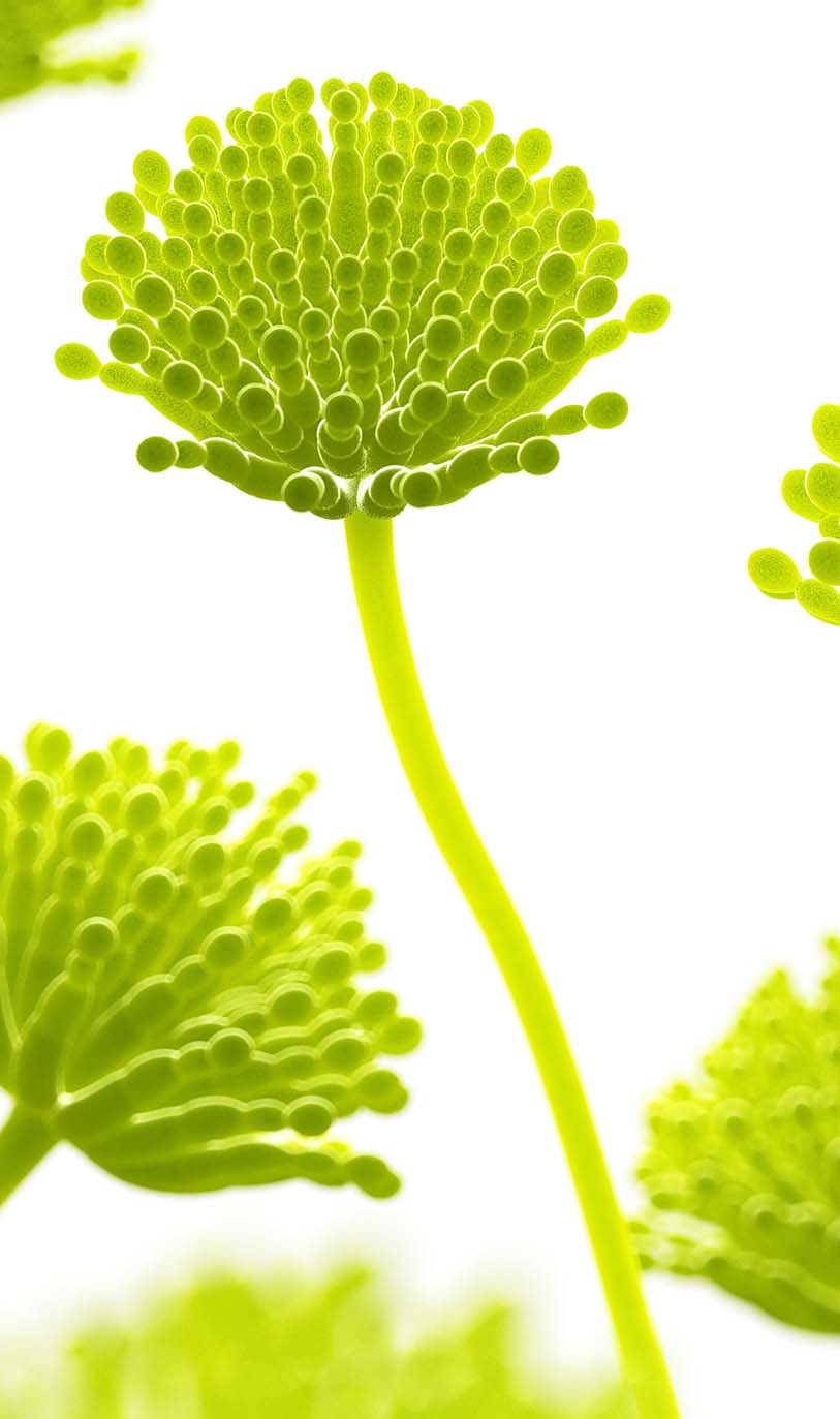 Take the video tour on the ZOO!