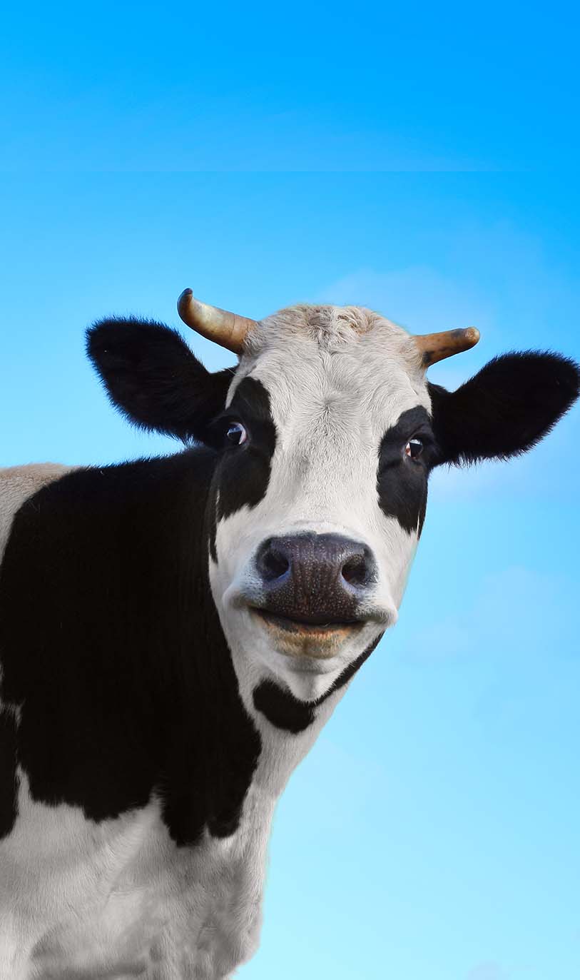 Take the video tour on the ZOO!