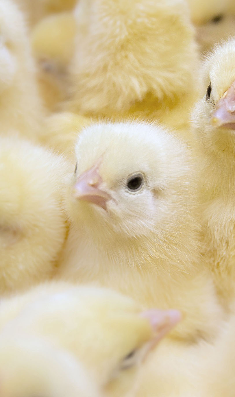 Take the video tour on the ZOO!