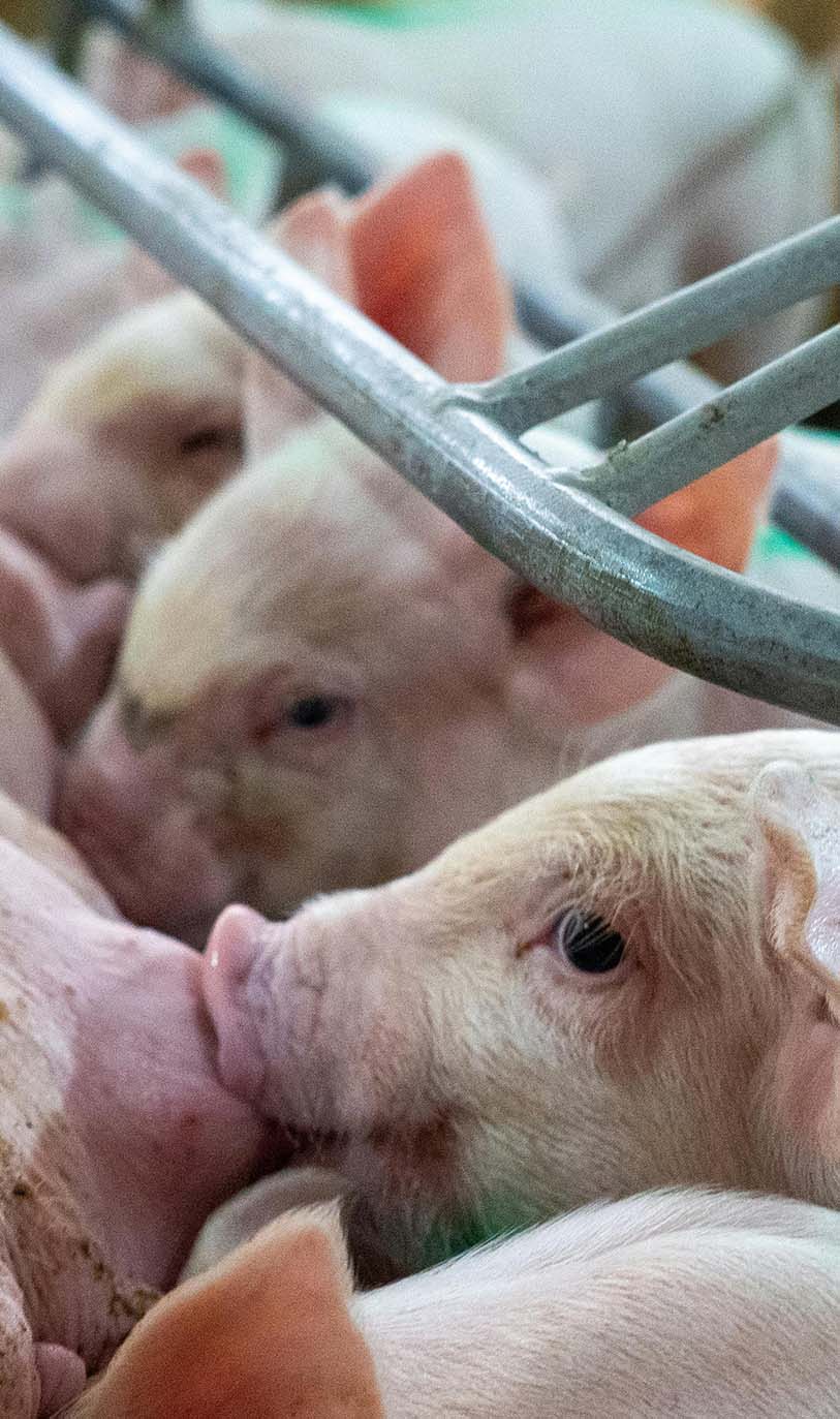 Take the video tour on the ZOO!