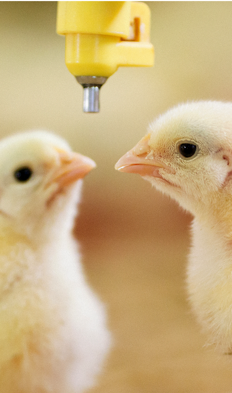 Take the video tour on the ZOO!